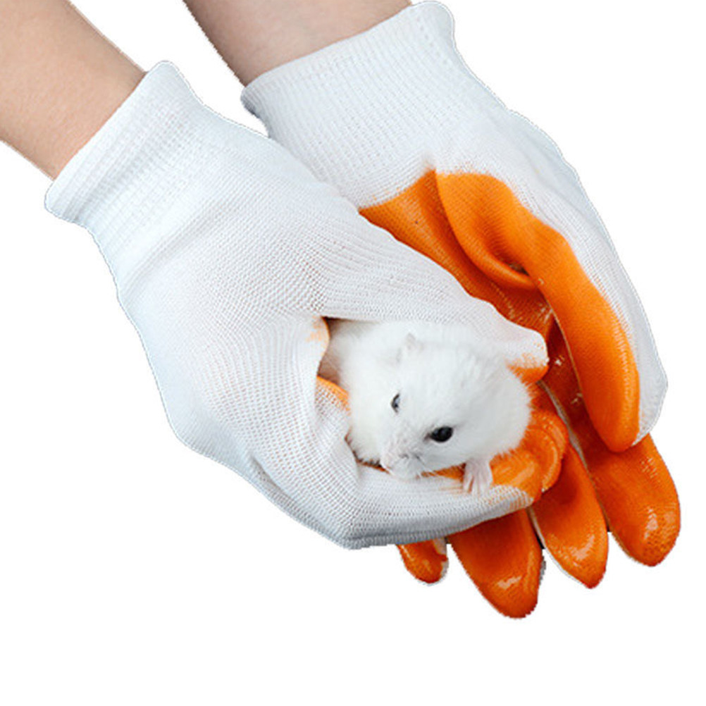 1Pair Animal Protection Gloves - Cut Resistant Glove 评论和价格