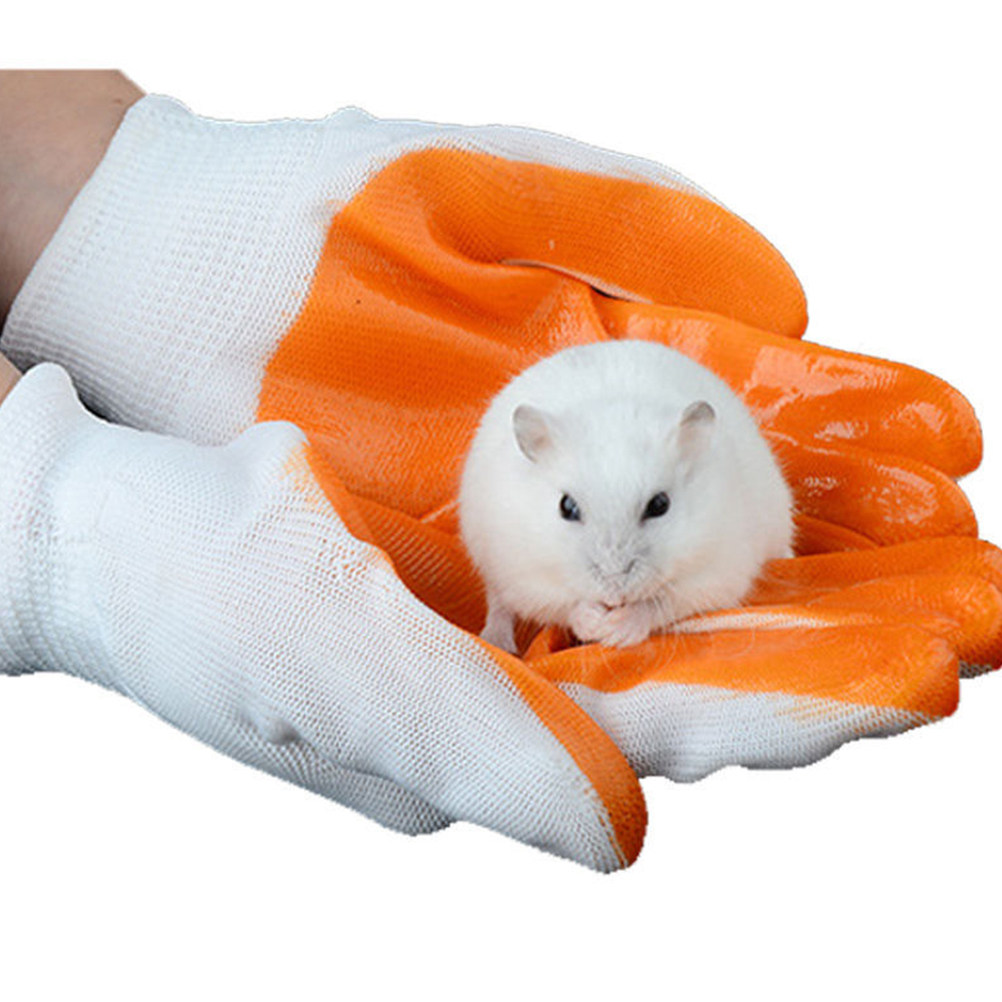 1Pair Animal Protection Gloves - Cut Resistant Glove 评论和价格
