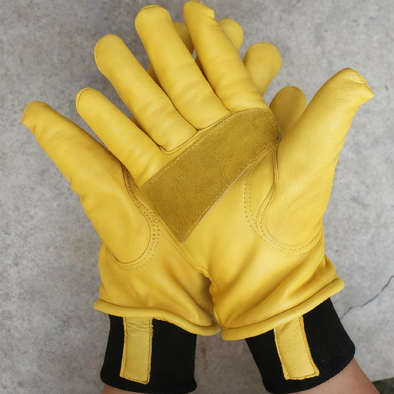 Mens Motorcycle Winter Gloves  - Winter Glove Insulated 评论和价格