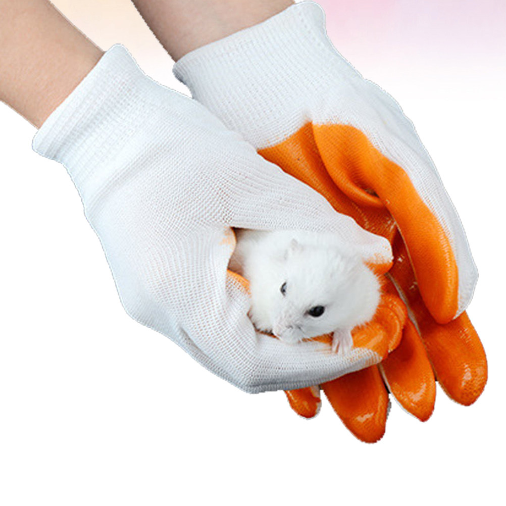 1Pair Anti-Bite Gloves for Sma - Cut Resistant Glove 评论和价格